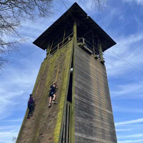 Theo D and Finn climbing.JPG