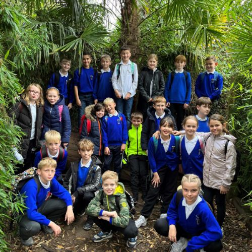 class pic in leaves.jpg