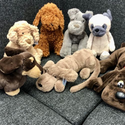 reading dogs together.jpg